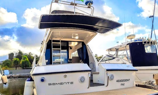 36ft Oceanic Xfactor Speedboat Rental in Rio de Janeiro, Brazil