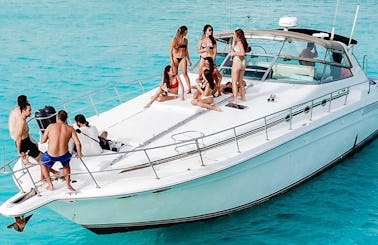 Captained Charter the Best Motor Yacht in Playa del Carmen, Mexico