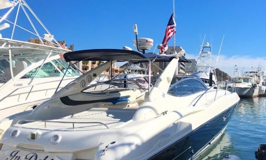 50ft Sunseeker Motor Yacht in Cabo San Lucas