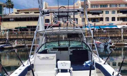 33ft Sea Ray Fishing Charter in Cabo San Lucas