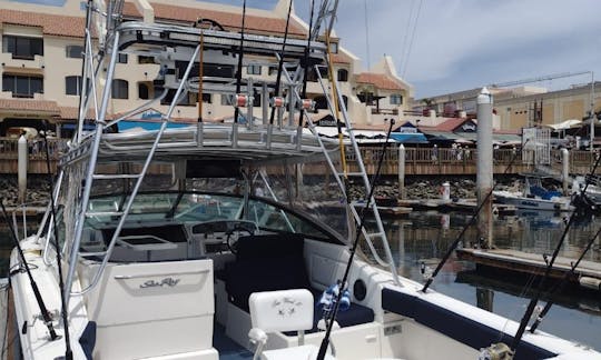 Charter de pesca de ámbar de 33 pies en Cabo San Lucas