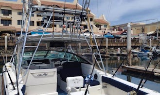 33ft Sea Ray Fishing Charter in Cabo San Lucas