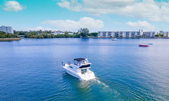 Charter 44' Sea Ray Luxury Sedan Bridge Yacht