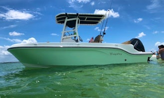 Offshore / Inshore Fishing or Visit Sandbar in Anclote Key with 21' Bayliner Trophy