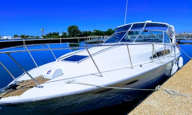 36' Sea Ray Cruiser for Charter in Chicago