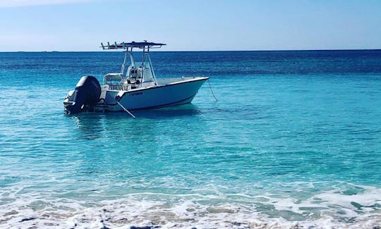 Excursão de mergulho com snorkel e console no Cruise Center em Nassau