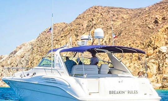 45' Sea Ray Yacht Package Deal in Cabo San Lucas, Baja California Sur