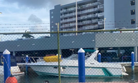 Trojan International 38' Yacht for Charter in Miami