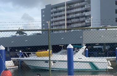 Trojan International 38' Yacht for Charter in Miami
