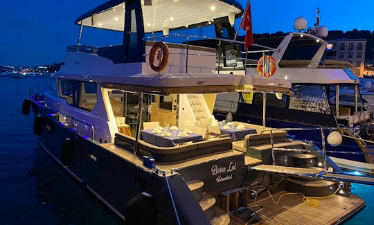 Luxury Motor Yacht for 15 person Tour in İstanbul