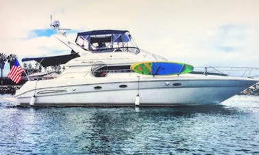 Ponte Sea Ray 450 Express para apreciar a beleza de San Diego!