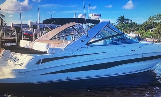 Perfect Comfortable Sea Ray 370 Venture Powerboat for Daily Charter in Stuart