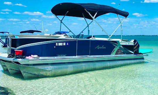 Private Pontoon Tours Clearwater Beach.