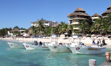 Excursions de plongée et cours PADI pour débutants et experts à Playa del Carmen, au Mexique