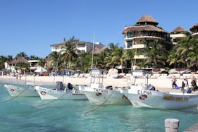 Diving Tours and PADI Courses for Beginners and Expert in Playa del Carmen, Mexico