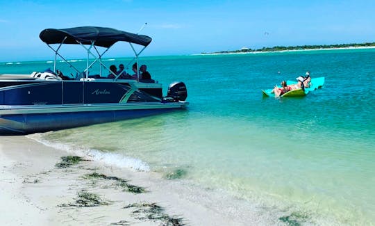 Private Pontoon Tours for up to 6 people with Captain in Clearwater Beach