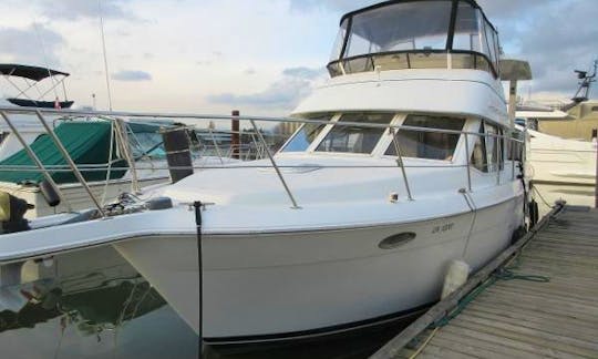 310 Santego Carver Yacht for Charter in Georgina