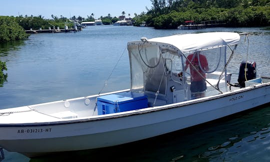 Seagull Charters 26' Angler Panga Tours & Fishing Charters in Hope Town, Abaco, Bahamas