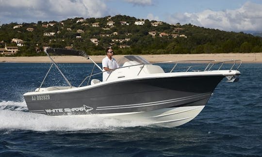 White Shark Center Console for Rent in La Spezia