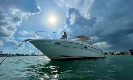 Rent my Sea Ray 32ft powerboat for the day in Miami!!