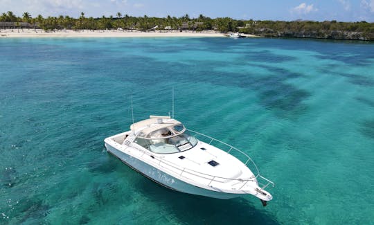 40' Luxury Searay Yacht at Punta Cana - Cap Cana Marina