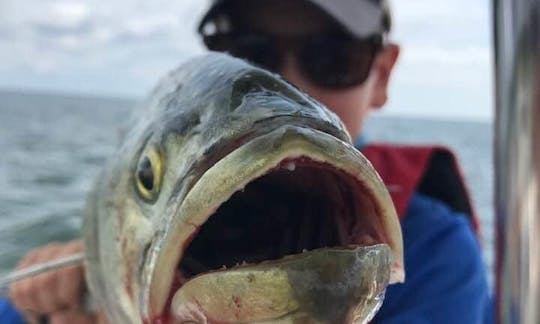 Captained 24ft Key West - fishing or cruising out of Clinton, CT