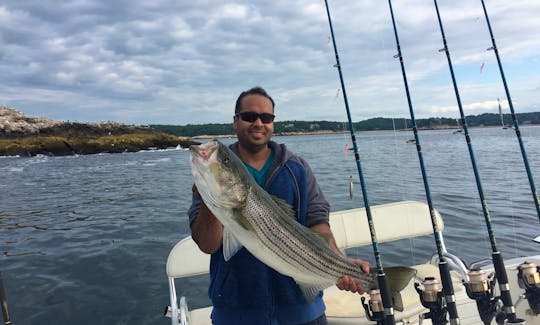 We typically target Striped Bass.