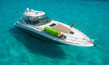 Amazing 44ft Sundancer in Cancun and Isla Mujeres up to 13 people