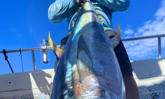 150lbs Yellowfin Tuna “Ahi” an almost guaranteed catch during summer time fishing on the West side of Oahu