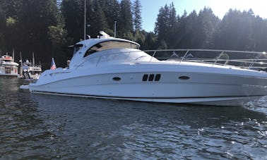 Capitaine Charter à bord de l'élégant Sea Ray Hardtop Sundancer de 50 pieds sur le lac Washington