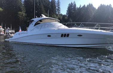 Captained Charter on Classy 50’ Sea Ray Hardtop Sundancer in Lake Washington