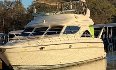 Daily Luxury Yacht Charter on Lake Lewisville