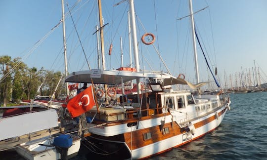 Private charter for daily and weekly boat trip on Gulet DL 