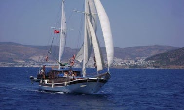 Private charter for daily and weekly boat trip on Gulet DL 