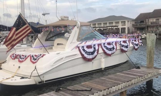 Location d'un yacht Sea Ray Cruiser de 45 pieds à Port Corpus Christi, au Texas