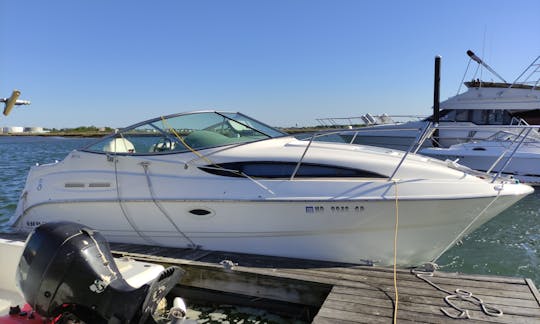 25' Bayliner for rent in East Rockaway