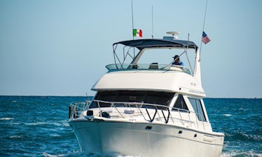 Location de yacht à moteur de luxe Sea Ray de 40 pieds à Cabo San Lucas, Mexique