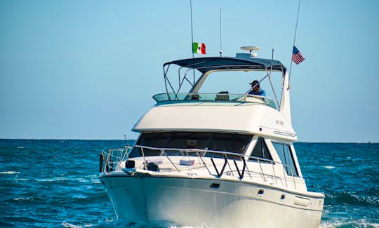 Luxury Sea Ray 40ft Motor Yacht Charter in Cabo San Lucas, Mexico