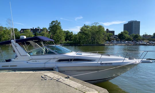 SeaRay 350 Cabin Cruiser for rent in Toronto