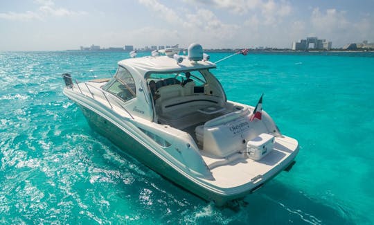 Luxury Yacht  44`Sea Ray in Cancun, Mexico