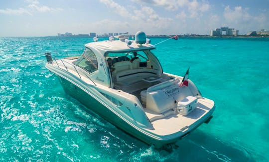 Luxury Yacht  44`Sea Ray in Cancun, Mexico
