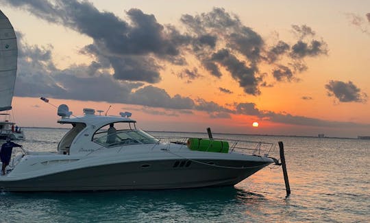 Luxury Yacht  44`Sea Ray in Cancun, Mexico