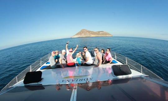 Day Tour in the Galápagos Islands