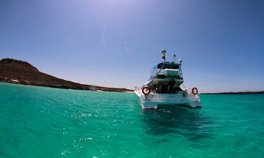 Day Tour in the Galápagos Islands