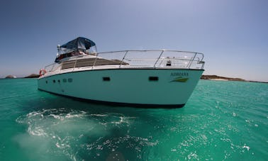 Day Tour in the Galápagos Islands