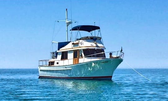 1988 Marine Trader 34ft Jersey Shore Floating Apartment For The Day!