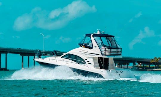 Sea Ray Sedan Bridge Luxury Charter in Miami