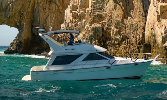 Aluguer de iates a motor de luxo Sea Ray de 40 pés em Cabo San Lucas, México