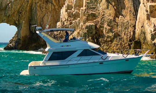 Luxury Sea Ray 40ft Motor Yacht Charter in Cabo San Lucas