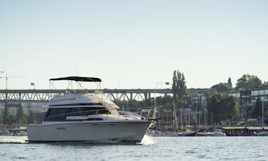  Lake Union and Washington Yacht Charters